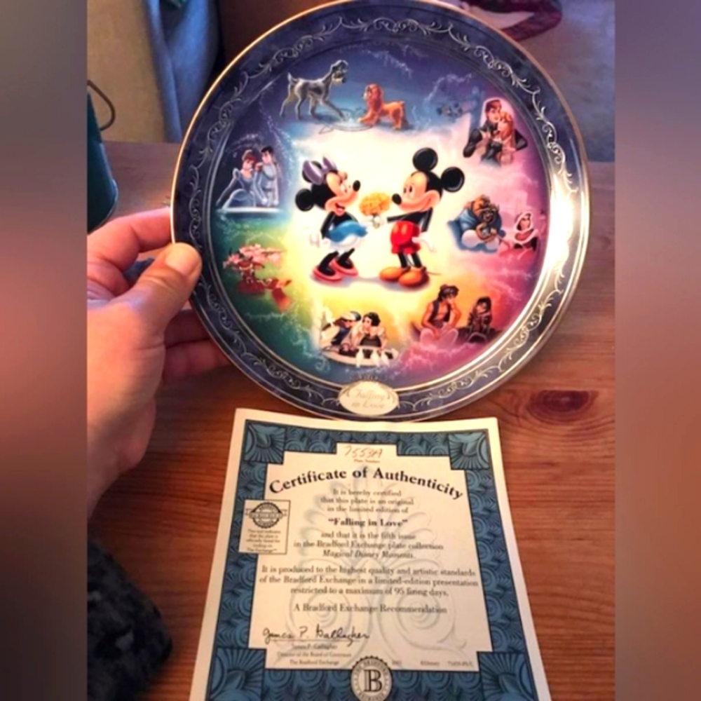 Disney's Magical Disney Moments(Falling in Love) collectible plate collection